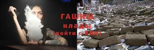 стаф Алзамай