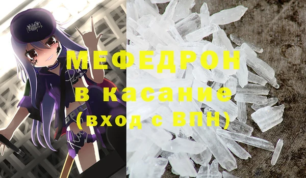 стаф Алзамай