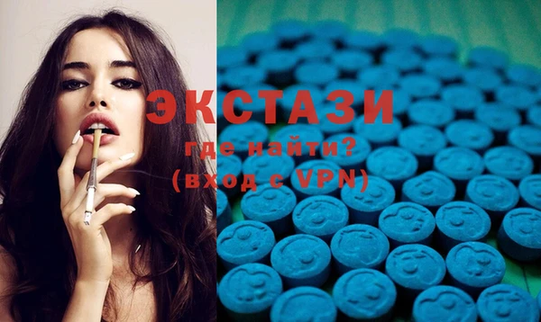 стаф Алзамай