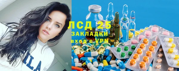 стаф Алзамай