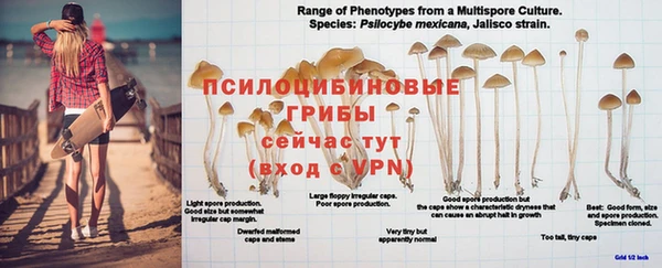MDMA Premium VHQ Алексин