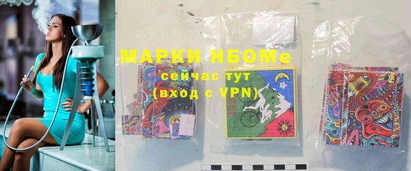 стаф Алзамай