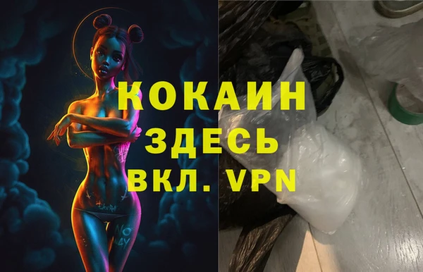 стаф Алзамай