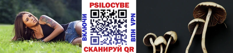 OMG ССЫЛКА  Менделеевск  Галлюциногенные грибы Psilocybe 